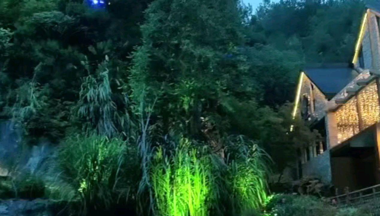 蓝狐视频